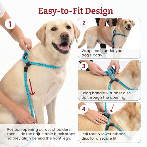 Harness Lead Escape Resistant, Reduces Pull Dog Harness, Medium/Large, Black