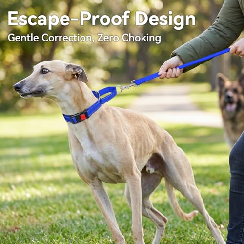 Joytale Martingale Collar for Dogs, Reflective Escape Proof Training Dog Collars with Safety Lock Buckle, No Slip Soft Nylon for Large Dogs, Navy Blue, L