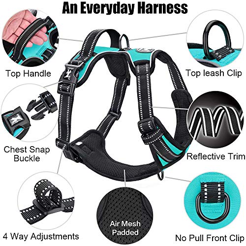 PoyPet No Pull Dog Harness, Reflective Comfortable Vest Harness with Front & Back 2 Leash Attachments and Easy Control Handle Adjustable Soft Padded Pet Vest for Small Medium Large Dogs (Mint Blue,M)