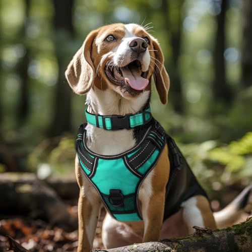 Joytale Reflective Dog Collar, Soft Neoprene Padded, Metal D-Ring, Nylon Pet Collar Adjustable for Large Dogs, Teal, L
