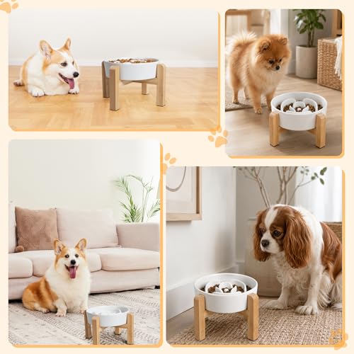 Elevated Slow Feeder Dog Bowl - Ceramic Maze Food Dish with Bamboo Stand - Raised Feeding Bowl for Fast Eaters - Ideal for Small and Medium Dogs - White - 6.7 inch