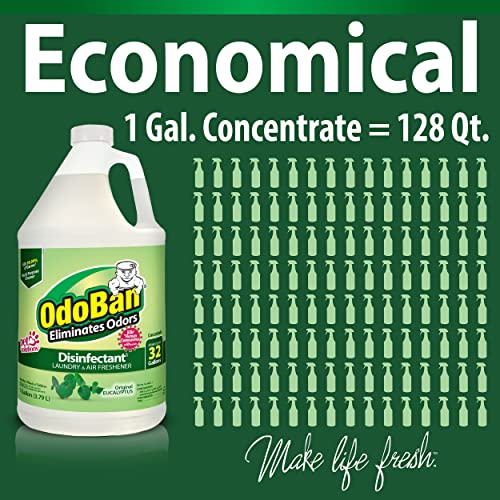 OdoBan Disinfectant Concentrate and Odor Eliminator, Made in the USA, Original Eucalyptus Scent, 1 Gallon