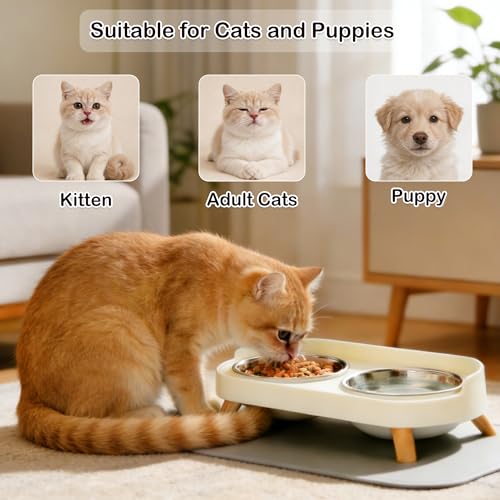 DIRZHX Elevated Cat Bowls with Food Mat, Splash Proof Anti Vomiting Raised Cat Food and Water Bowl Set, 2 Stainless Steel Dishes for Cats and Puppy, Pet Bowl for Indoor Cats White