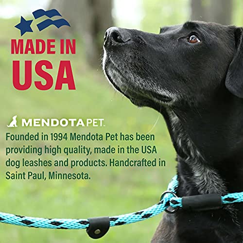 Mendota Pet Slip Leash - Dog Lead and Collar Combo - Made in The USA - for Large Breeds - Black, 1/2 in x 6 ft