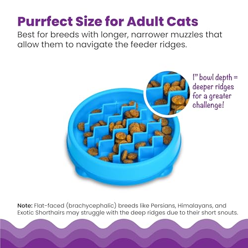 Catstages Kitty Slow Feeder Bowl for Cats & Small Dogs, Puzzle Dish for Fast Eaters, for Wet or Dry Food, Helps Slow Eating & Aid Digestion, Non-Slip, Made Without BPA, 3/4 Cup, 5-Inch, Blue