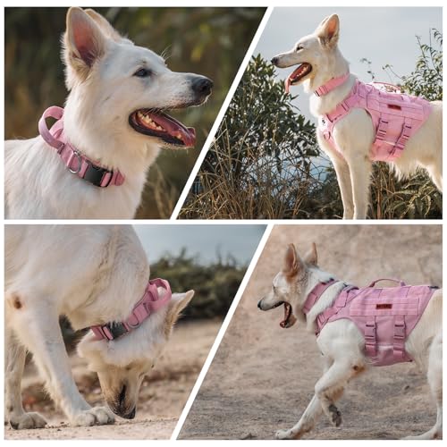 OneTigris Tough Dog Collars, Tactical Dog Collar with Handle, Milltary Adjustable Dog Collar with Heavy Duty Metal Buckle for Training (Large,Pink)