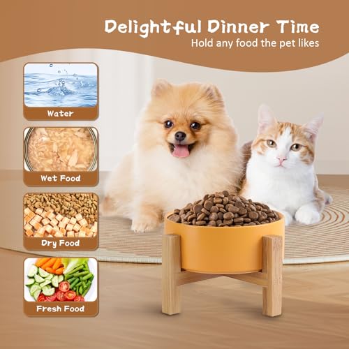 Elevated Ceramic Cat Bowl - Cat Food Bowl with Bamboo Stand - Raised Dog Dish for Puppies - Anti Vomiting, Stress Free - 13.5 oz / 400 ml - White