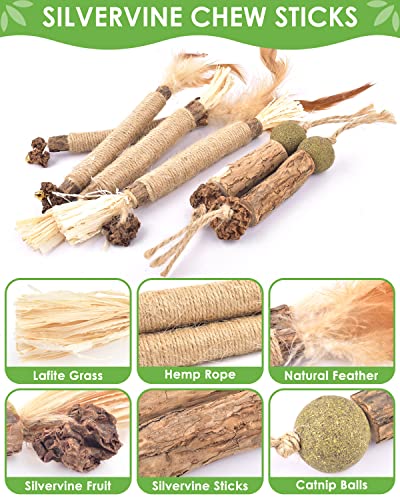 TINDTOP Catnip Chew Toys for Cats, 12 Pack Natural Silvervine Sticks for Kittens Teeth Cleaning, Matatabi Dental Care, Increase Appetite, Calm Cat Anxiety and Stress, Aggressive Chewers Cat Dental Toy
