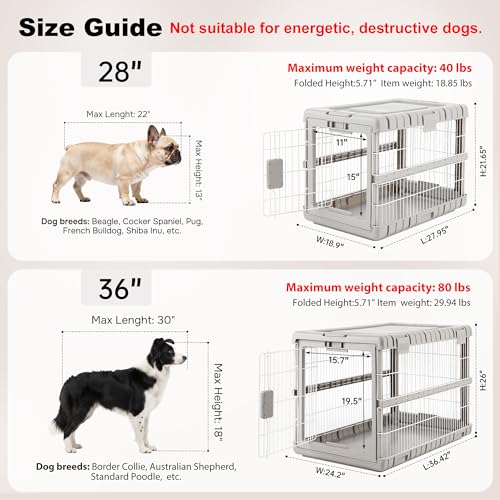 ZOMISIA Collapsible Dog Crate for Large Dogs - 36" L Heavy Duty Dog Kennel No Tools Required with 4 Sides Steel Foldable Cage for Dogs Indoor Furniture, Portable Carrier with 2 Smooth Wheels, Beige