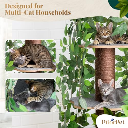 Cat Tree with Leaves – Stable & Space-Saving Design – 4 Scratch Levels & 5 Scratching Posts – for Climbing, Hiding and Sleeping – Easy to Assemble – Durable Cat Trees for Indoor Cats – Natural Look