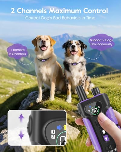 SLOPEHILL Dog Shock Collar - 4200FT Dog Training Collar with Remote,IPX8 Waterproof E-Collar with Beep,Vibration,Shock,Flash Light,No Shock Model,Electric Shock Collar for Dogs 8-140lbs,Purple 2PCS