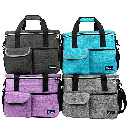 PetAmi Dog Travel Bag, Travel Pet Bag Organizer, Dog Food Travel Bag with Container Collapsible Bowls, Pet Travel Supplies Gift Accessories for Weekend Camping, Puppy Cat Diaper Bag, Teal Blue Medium