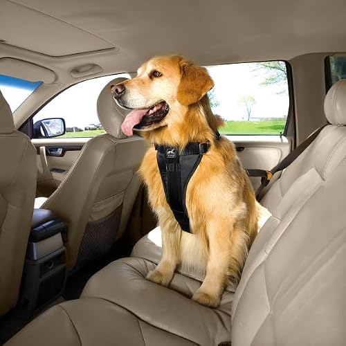 Kurgo Enhanced Strength Tru-Fit Dog Car Harness - Pet Travel Safety Harness - Crash Test Certified Fit - Five Point Adjustment - Secure Buckle - Padded Chest - Black - Medium