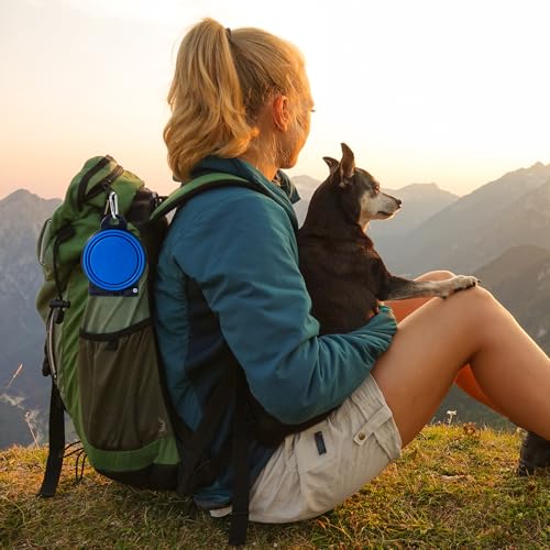 SLSON Collapsible Dog Dual Bowls Reinforced Rim 180 Degrees Flip Over Foldable Double Bowl with Lock Clips More Stable Dog Travel Bowls Pet Food Water Feeder (Blue)