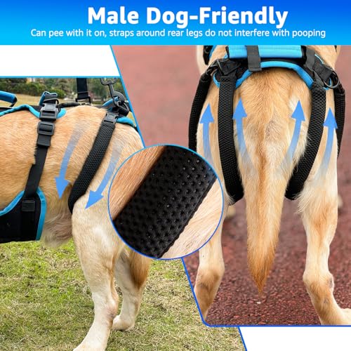 Lafoty Dog Lift Harness for Large Male Dogs, 2-in-1 Detachable Support Harness, Full Body Carrying with 4 Handles, Dog Sling for Large Dogs Hind Leg Support(Black, X-Large)