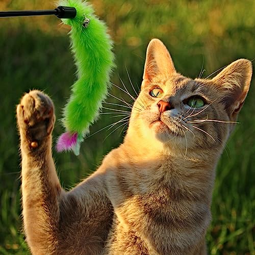 CATENEED Cat Wand Feather Toys, 6 Pieces Interactive Cat Feathers Teaser Toy for Indoor Cats Play