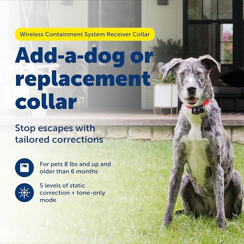 PetSafe Wireless Pet Fence Containment System Receiver Collar Only for Dogs and Cats Over 8 lbs., Waterproof with Tone and Static Correction - from The Parent Company of Invisible Fence Brand