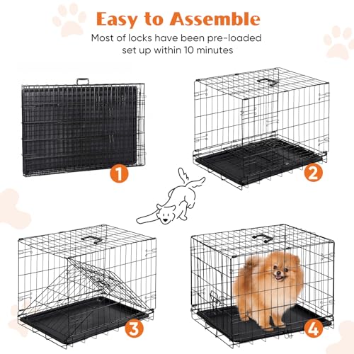 Sweetcrispy 30 Inch Single Door Dog Crate, Metal Pet Kennel with Secure Lock, Foldable Design, Removable Tray for Easy Cleaning, Portable Puppy Cage for Small Dogs, Ideal for Training & Travel