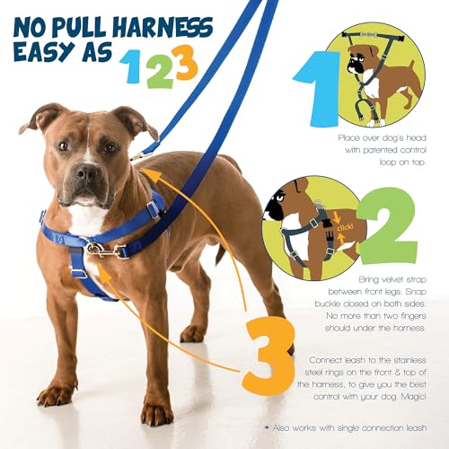 2 Hounds Design Freedom No Pull Dog Harness, Adjustable Harness, Easy Walking & Comfortable Control, Fits Small, Medium & Large Dogs, Solid Colors, Made in USA, 1" LG, Red