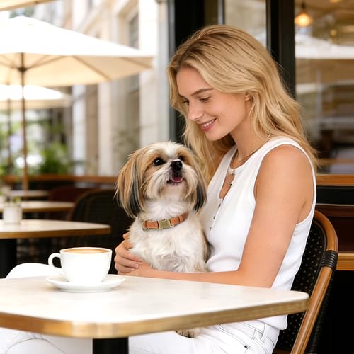 Didog Soft PU Leather Dog Collar, Stylish Quick Released Dog Collars for Small Dogs, Easy Clean Adjustable Pet Collar for Daily Walking, Light Brown, S Fit 10-15" Neck