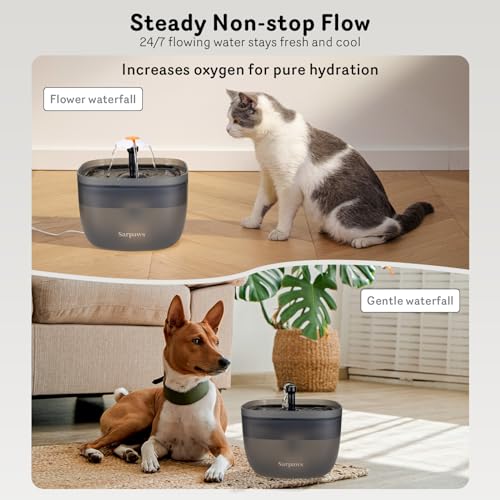 Automatic Cat Feeder and Water Dispenser FW1, Wire or Battery Cat Food Dispenser Timer Pet Feeder - Locking Lid, Desiccant Bag, Programmable Portion Control, 4 Daily Meals, 10s Voice Recorder