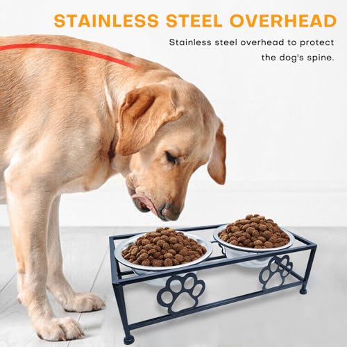 Hongshifu Elevated Dog & Cat Bowls with Stand – Raised Pet Feeder for Small Dogs & Cats, Stainless Steel Dog Food Bowls Elevated, Cat Food Bowl Stand, Elevated Cat Feeding Station (Black)