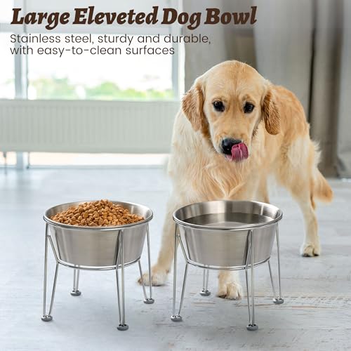 Wellbro Elevated Dog Bowls for Large & Medium Dogs - Stainless Steel 64oz/8 Cup Raised Feeder with Non-Slip Base, Dual Food & Water Bowls 2-Pack