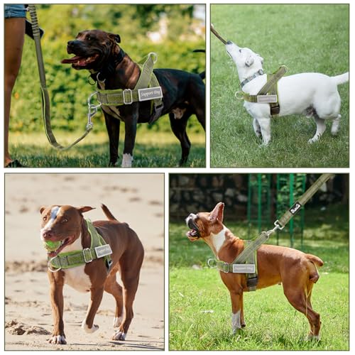 Lukovee No Pull Dog Harness and Leash Set - Adjustable Soft Padded Vest with Front Clip for Easy Control, Reflective Durable Harness for Safe Daily Training Walking for Medium Large Dogs (L, Green)