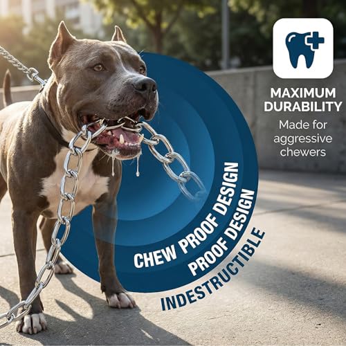 CtopoGo Heavy Duty Dog Leash,Metal Dog Chain Leash with Padded Handle for Large & Medium Size Dogs (6 ft. x 3.0 mm (25-120 lbs.))