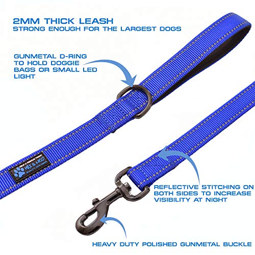Max and Neo Double Handle Traffic Dog Leash - Reflective, Donates to Dog Rescue (Teal, 6 FT)