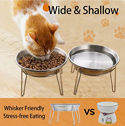 Wellbro Elevated Cat Bowls, 5.9 Inch Wide Stainless Steel Cat Food Bowls with Metal Stand Whisker Stress-Free, Raised Food and Water Dish for Cats, Kitten, Puppies and Small Dogs-2 Pack
