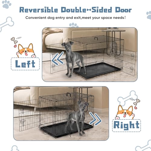 DUMOS Dog Crate, 36 Inch Medium Double Door Dog Cage with Plastic Leak-Proof Pan Tray, Handle, Folding Metal Wire Pet Kennel for Indoor, Outdoor, Travel