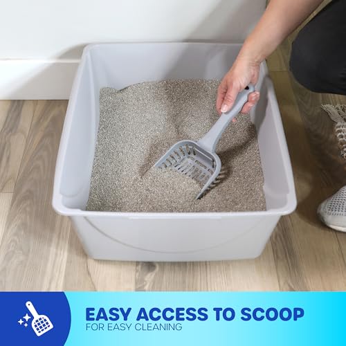 Petmate Basic Open Cat Litter Pan, Multidirectional Easy to Clean Plastic Litter Box, Gray, Made in USA, 14.5" x 10.5" x 3.5", Small Recommended for Kittens and Small Cats