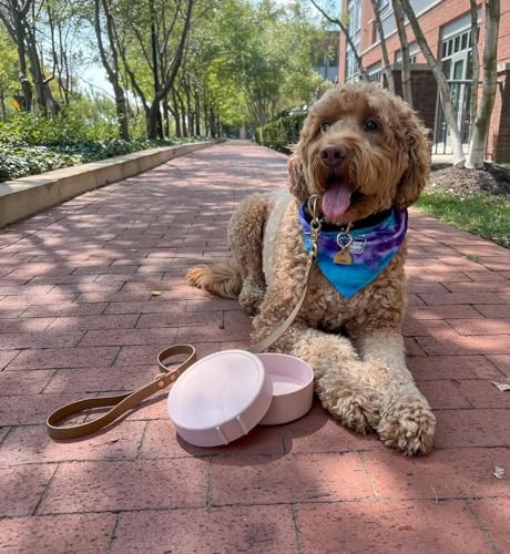 Barkin’ Trails Travel Dog Bowls, Portable Outdoor Water, BPA-Free Water Bowl Set, Food Grade Plastic Dog Travel Bowl, Dog Camping Essentials, Travel Container