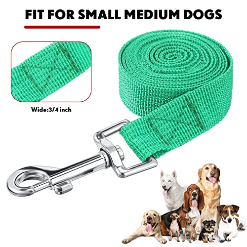 Hillban 12 Pcs Nylon Puppy Training Leash Bulk 5ft Dog Leash for House Line 12 Colors Puppy Line Traction Rope for Small Medium Dog Training, Play, Camping, or Backyard(Modern Colors)