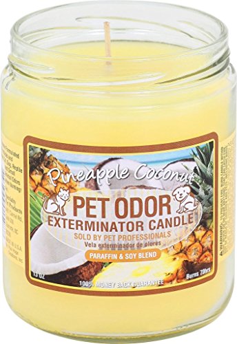 Specialty Pet Products Pet Odor Exterminator Candle, Pineapple & Coconut - Pack of 2