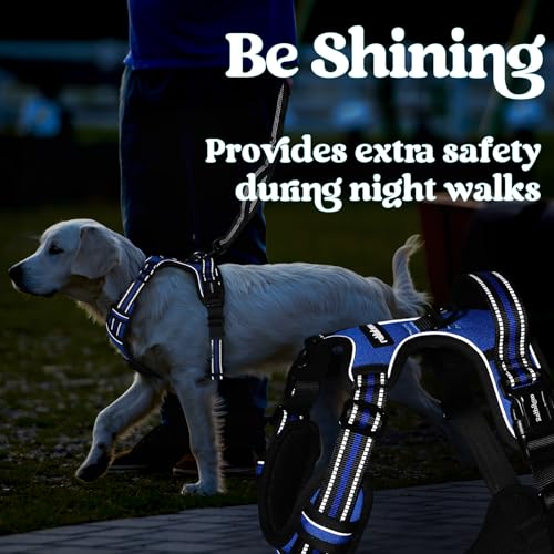 rabbitgoo Dog Harness for Large, No Pull Easy On & Off with 3 Buckles Pet Harness, Adjustable Soft Walking Vest with 2 Clips and Handle, Reflective for Large Dogs, Blue, L
