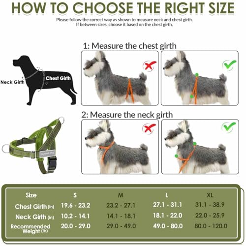 Lukovee No Pull Dog Harness and Leash Set - Adjustable Soft Padded Vest with Front Clip for Easy Control, Reflective Durable Harness for Safe Daily Training Walking for Medium Large Dogs (L, Green)