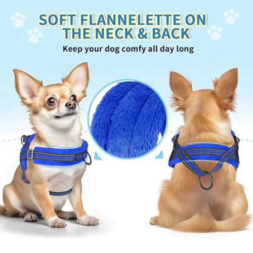 Lukovee No Pull Dog Harness and Leash Set, Soft Padded Small Dog Harness, Neck & Chest Adjustable Reflective Vest Puppy Harness with 4ft Lightweight Anti-Twist Dog Leash for Small Dogs (XS, Blue)