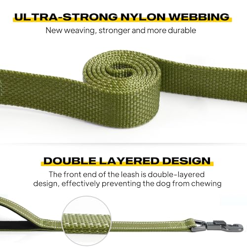 Fida 4 FT Heavy Duty Dog Leash with 2 Comfortable Padded Handles, Traffic Handle & Advanced Easy Snap Hook, Reflective Walking Lead for Large, Medium & Small Breed Dogs, Green
