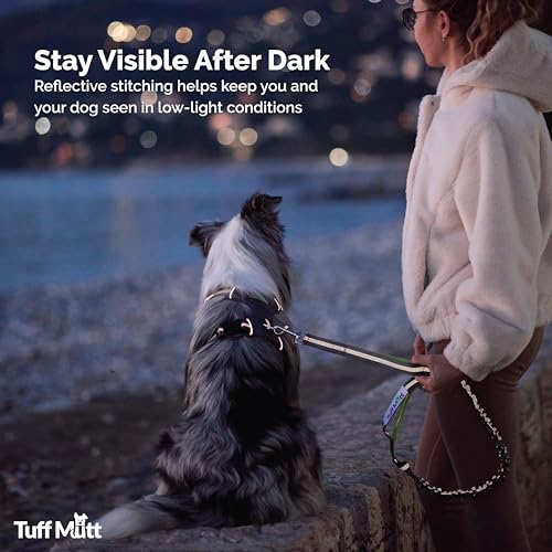 Tuff Mutt Hands Free Dog Leash for Walking Running Hiking, Waist Leash with Bungee, Adjustable Belt, Reflective Double Handle Design for Large Medium Dogs
