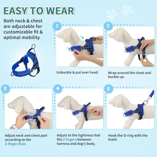 Lukovee No Pull Dog Harness and Leash Set, Soft Padded Small Dog Harness, Neck & Chest Adjustable Reflective Vest Puppy Harness with 4ft Lightweight Anti-Twist Dog Leash for Small Dogs (XS, Blue)