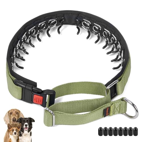 Mayerzon No Pull Dog Collar, Patented Martingale Collar for Small Medium Large Dogs with Buckle and Heavy Duty Nylon for Walking Training Hunting, Safe and Easy to Use(L, Green)