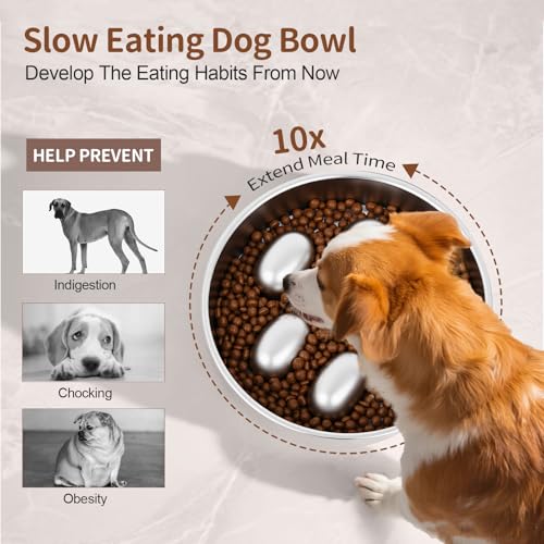 Slow Feeder Dog Bowl for Fast Eating Dogs Stainless Steel Heavy Duty 8.2" with Non-Slip Base, Raised Obstacle Slow Down Eating for Small Medium Large Dogs, Reduces Bloat & Indigestion, Dishwasher Safe