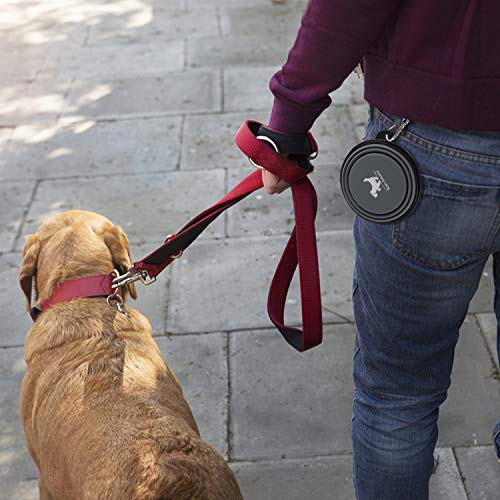 Collapsible Dog Bowls for Travel, 2-Pack Dog Portable Water Bowl for Dogs Cats Pet Foldable Feeding Watering Dish for Traveling Camping with Carabiners, BPA Free (Grey&Pink, Small (Pack of 2))