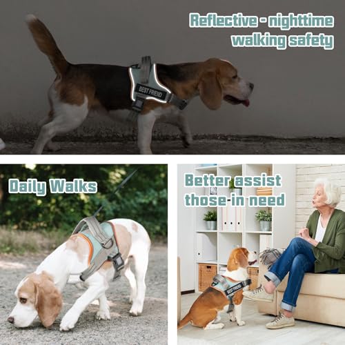 AUROTH Dog Harness and Leash Set, Soft Padded Service Dog Vest with 5.25FT Dog Leash, No Choke, Easy On Pet Vest, Adjustable Reflective No Pull Pet Vest Medium Sized Dog, Easy Walking and Training