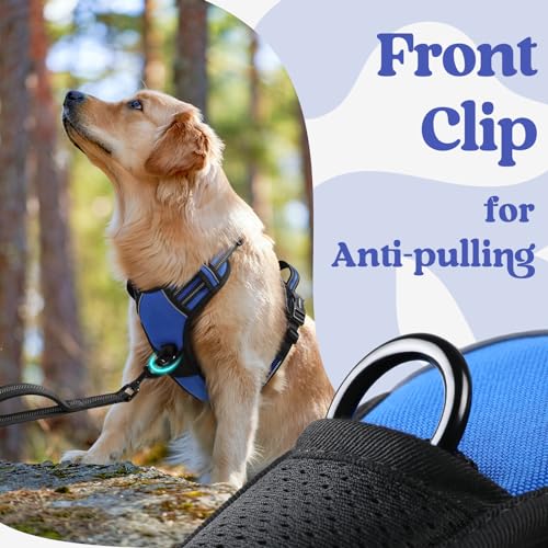 rabbitgoo Dog Harness for Large, No Pull Easy On & Off with 3 Buckles Pet Harness, Adjustable Soft Walking Vest with 2 Clips and Handle, Reflective for Large Dogs, Blue, L