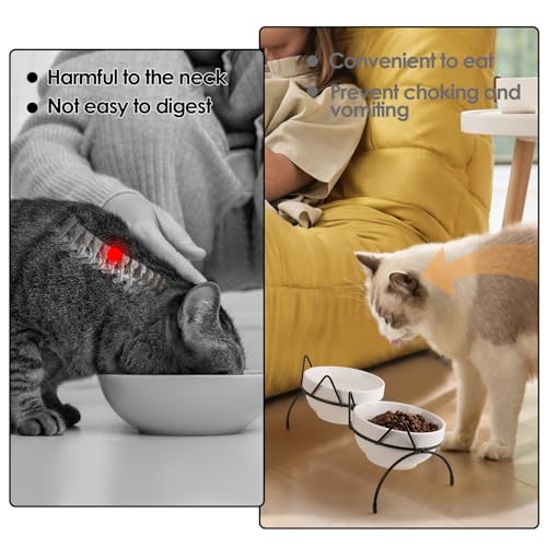 Cat Food Water Bowl Set, Double Ceramic Pet Bowls with 15°Tilted Raised Stand, Elevated Feeding Station with Two Removable Bowls, Raised Cat Bowl, Anti Vomiting Pet Dish Feeder, Kitten and Small Dogs