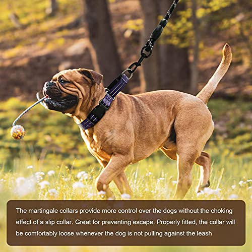 Hikiko Martingale Collar for Dogs Reflective Nylon Dog Collar with Quick Release Buckle Adjustable Training No Slip Dog Collars (Medium, Purple)