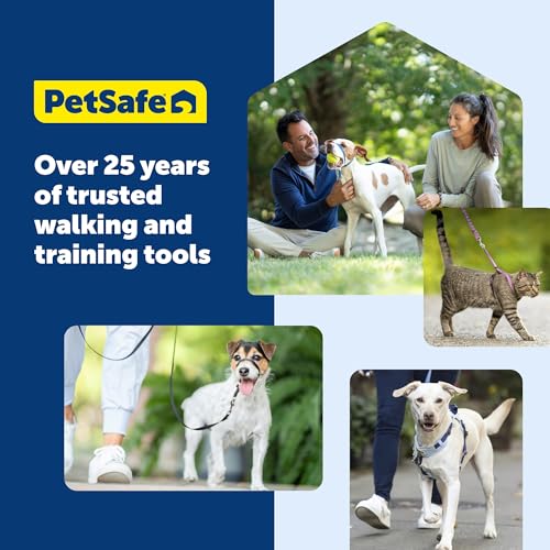 PetSafe 3 in 1 No-Pull Dog Harness for Medium Dogs- Walk, Train or Travel - Helps Pets from Pulling on Walks - Seatbelt Loop Doubles as Quick Access Handle - Reflective - Medium, Plum